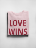 Adult Love Wins Sweatshirt